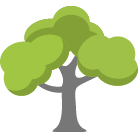 Norwalk Tree Removal