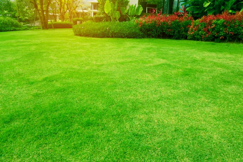 Seasonal Landscape Maintenance