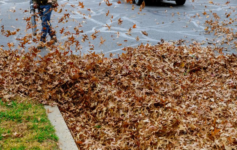 Leaf Collection Process