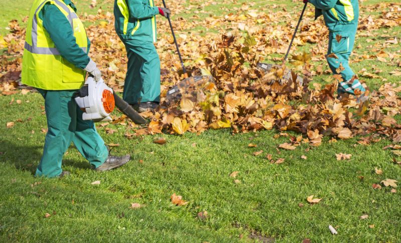 Yard Clearing Service