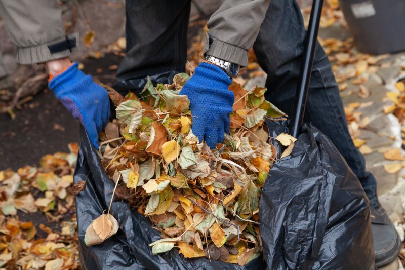Seasonal Cleanup