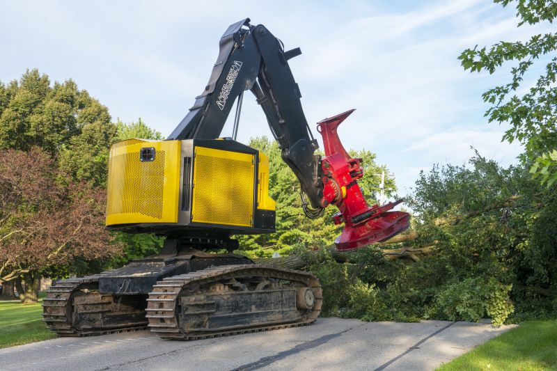 Tree Removal Equipment at Work