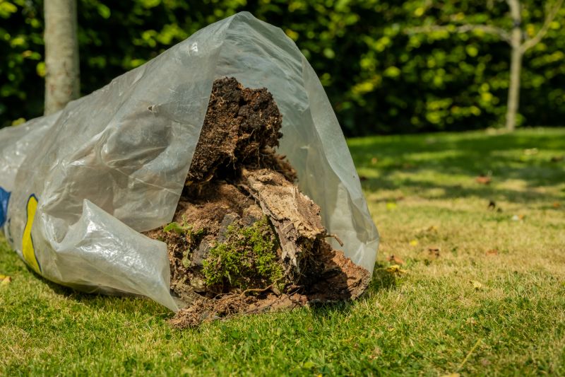 Spring Tree Removal