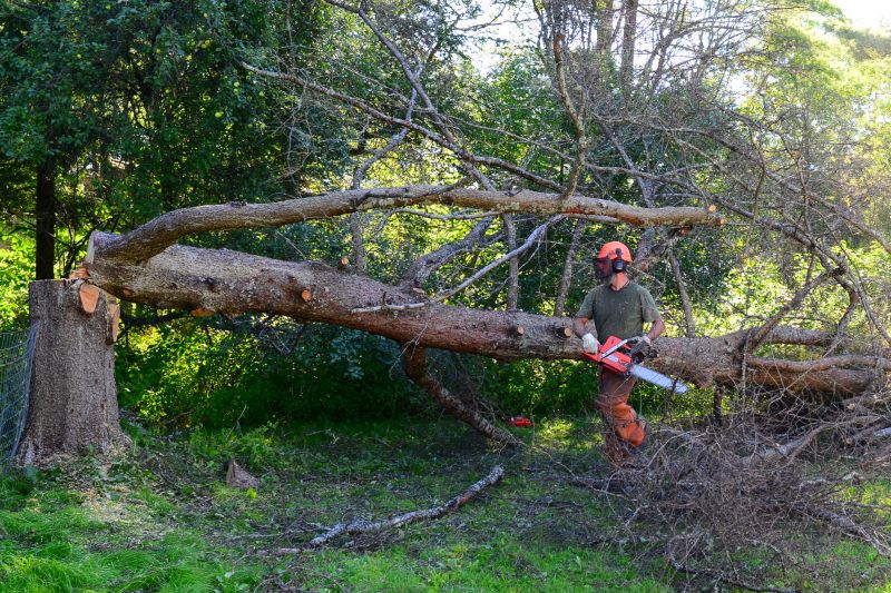 Tree Care Equipment